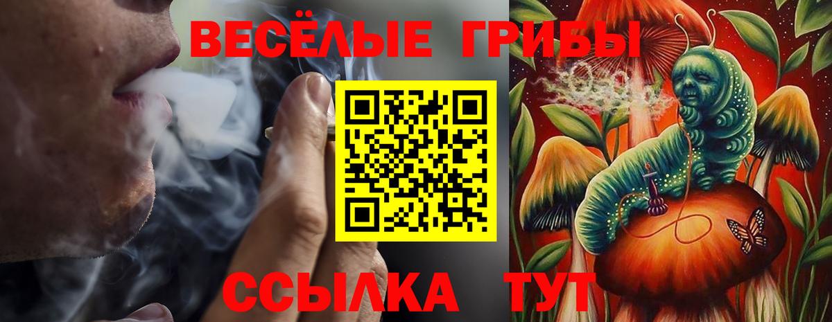 Галлюциногенные грибы Magic Shrooms Туймазы